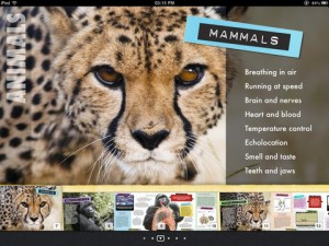 Miles Kelley Publishing Releases 'Discovery Channel Animals' e-Book - iPad  Kids