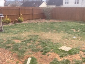 blog yard before