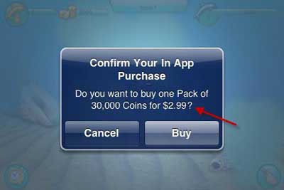 confirm-your-ia-purchase