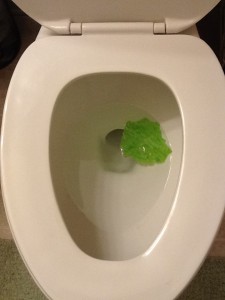 blog toilet lettuce